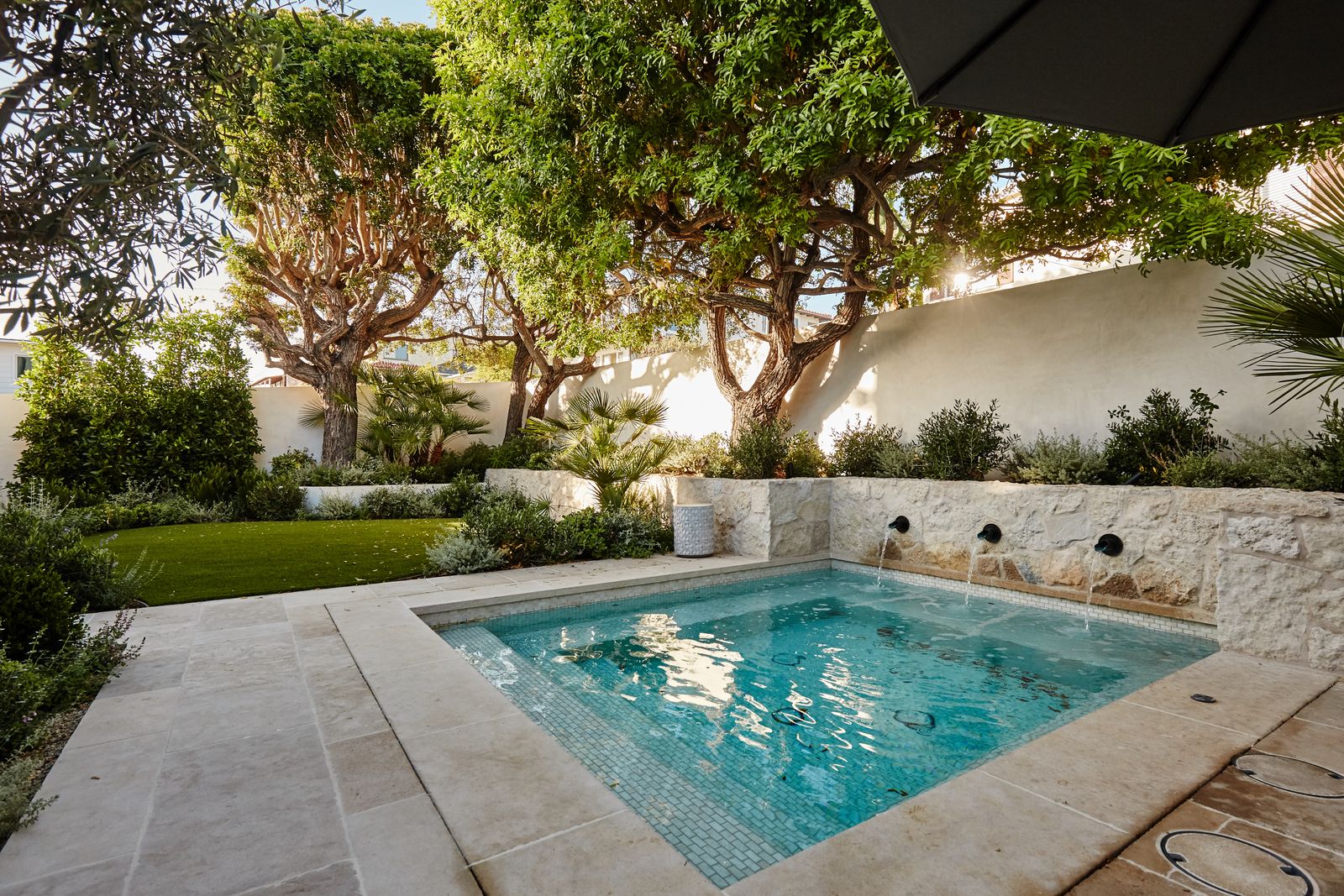 Courtyard pool framed by mature trees